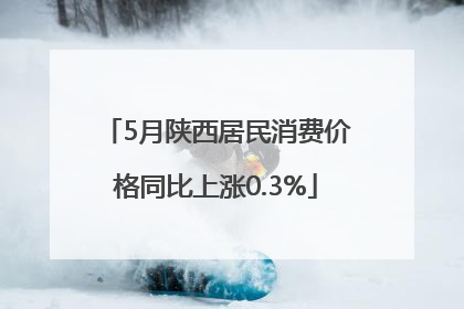 5月陕西居民消费价格同比上涨0.3%