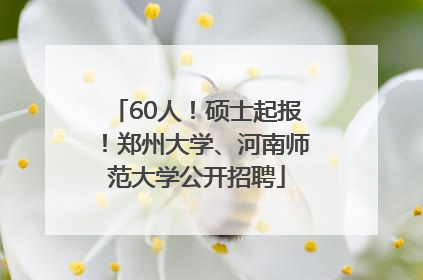 60人！硕士起报！郑州大学、河南师范大学公开招聘