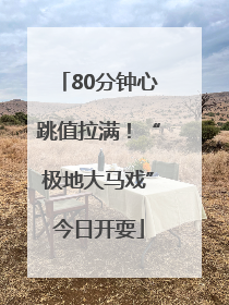 80分钟心跳值拉满！“极地大马戏”今日开耍