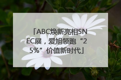 ABC焕新亮相SNEC展，爱旭领跑“25%”价值新时代