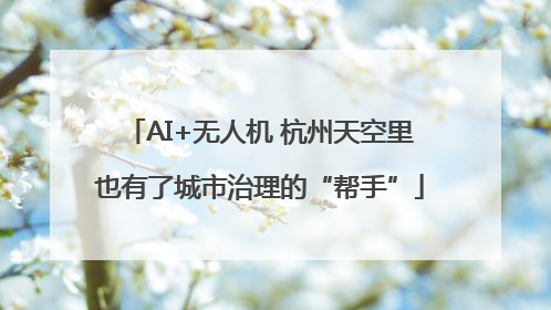 AI+无人机 杭州天空里也有了城市治理的“帮手”