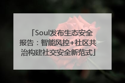 Soul发布生态安全报告：智能风控+社区共治构建社交安全新范式