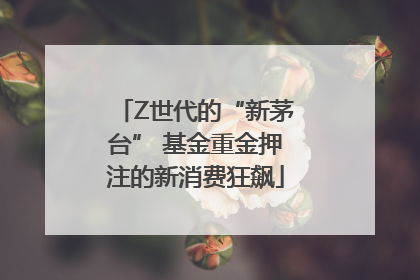 Z世代的“新茅台” 基金重金押注的新消费狂飙